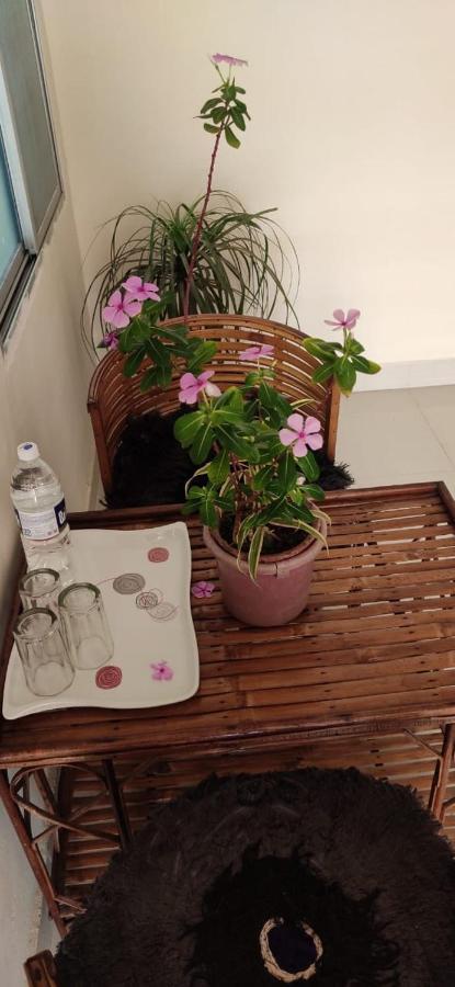 Untrained & Unplanned Apartamento Jabalpur Exterior foto